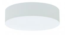 AFX Lighting, Inc. ANF1932LAJUD-LW - Anton 20" LED Flush Mount