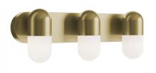 AFX Lighting, Inc. IRVV2406LAJUDLB - Irvine Vanity 24''  LED 5CCT 120-277V LB