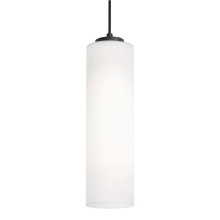 AFX Lighting, Inc. LEOP0412MBBK - Leo 12'' Med Base Pendant,120V,BK