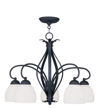 Livex Lighting 4775-04 - 5 Light Black Chandelier