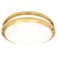 Luxrite LR23296 - LED12"FLUSH/DR/BRS/5CCT/D