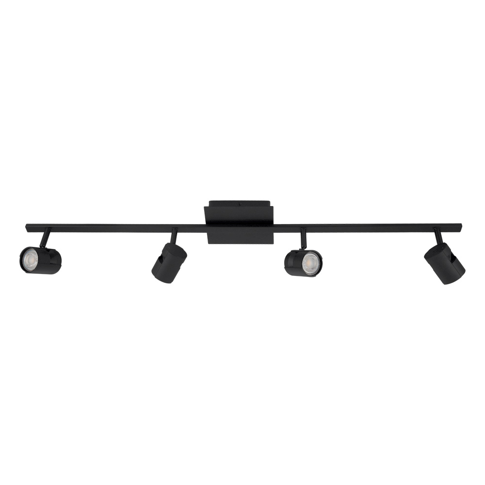 4L Track Light