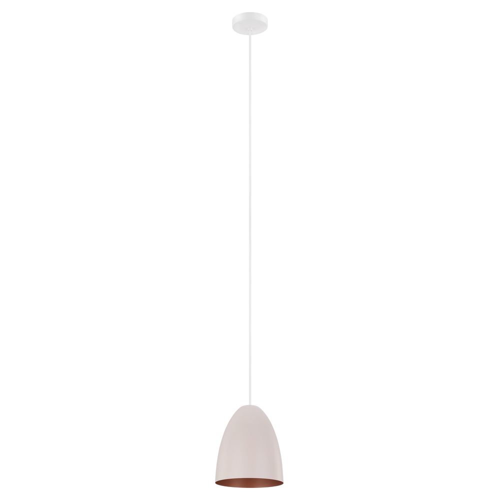 1L Pendant Light