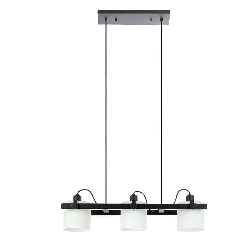 3L Pendant Light