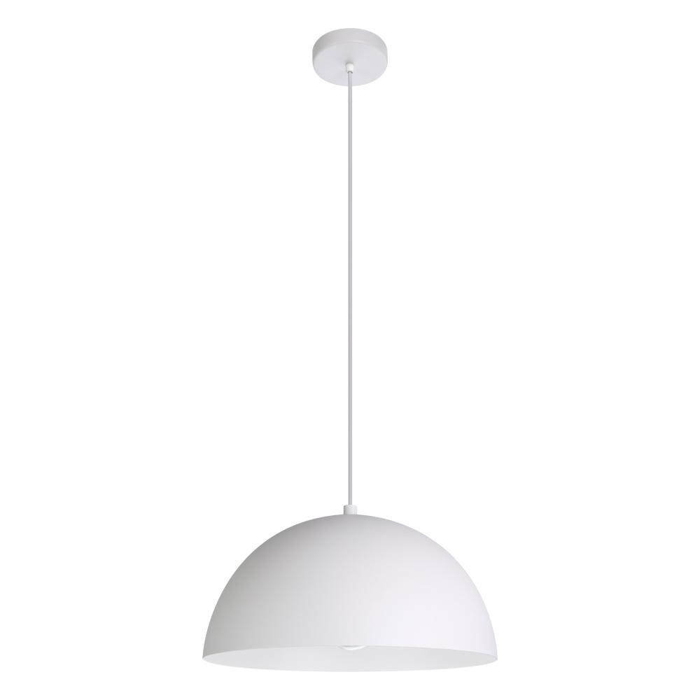 1L Pendant Light
