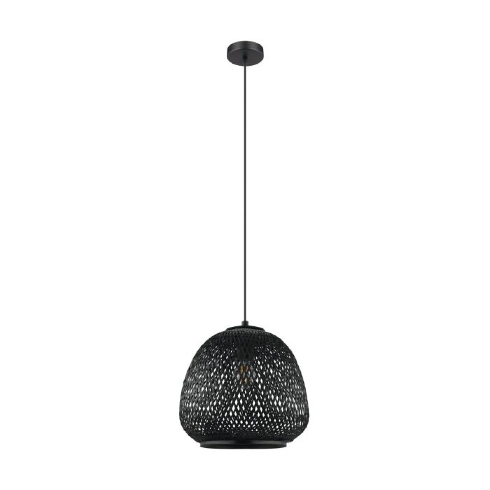 1L Pendant Light