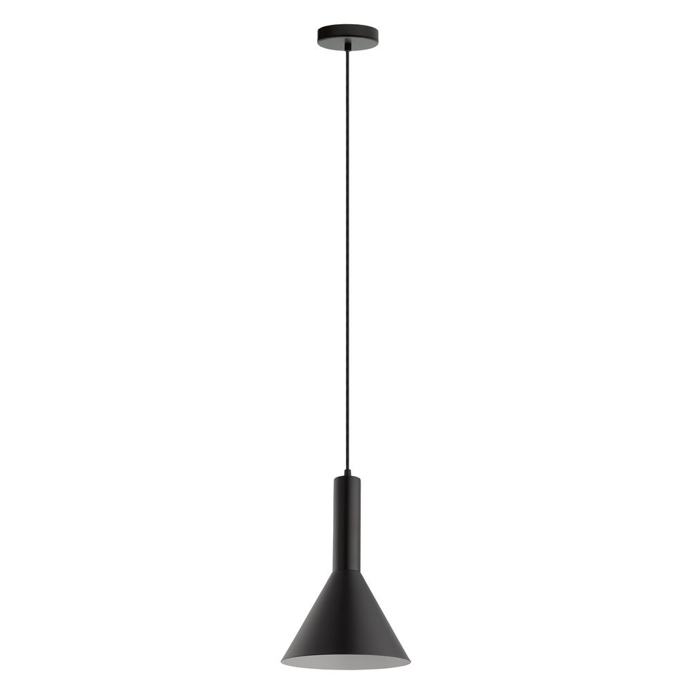 1L Pendant Light