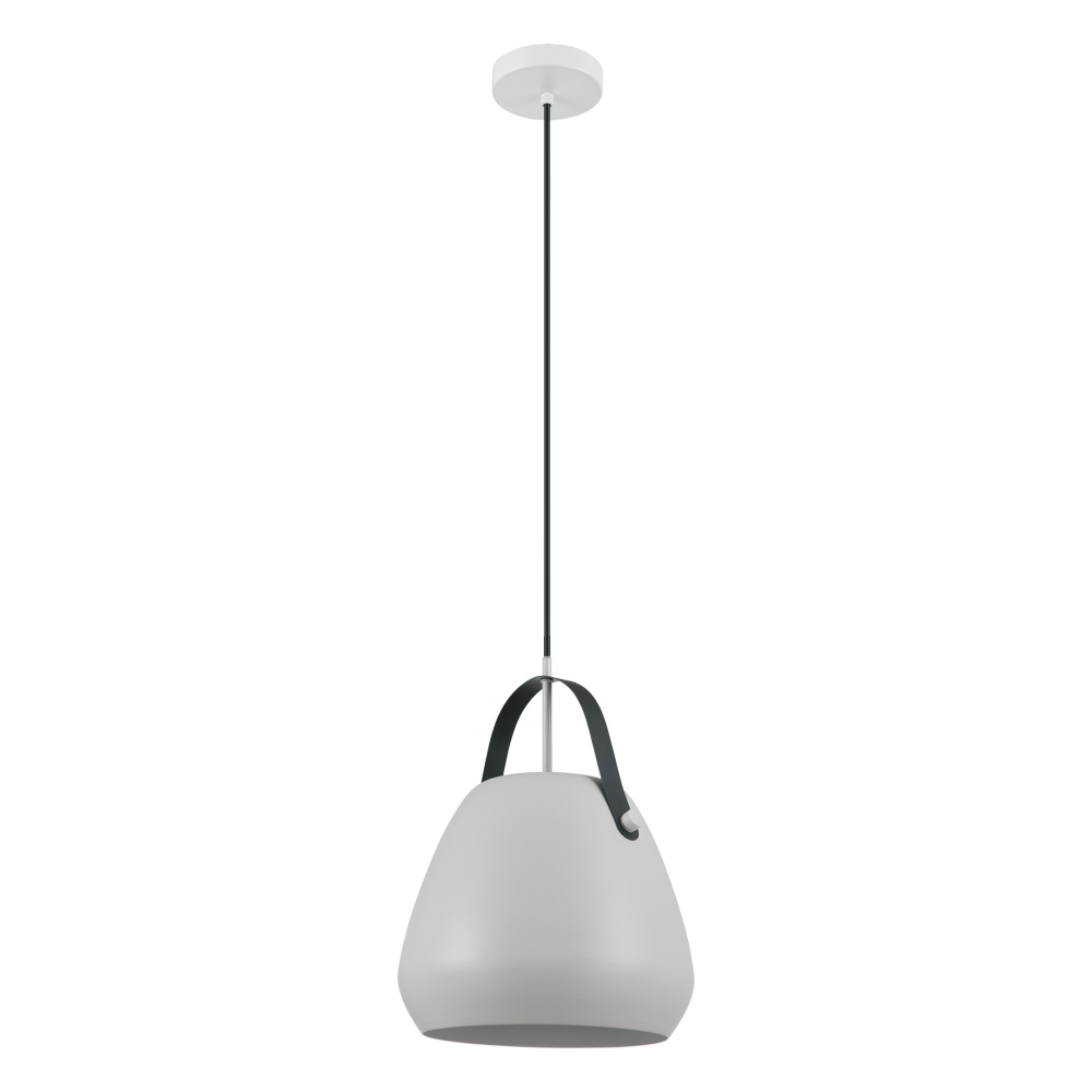 1L Pendant Light