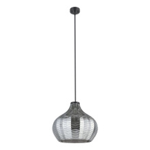 Eglo 205842A - 1L Pendant Light