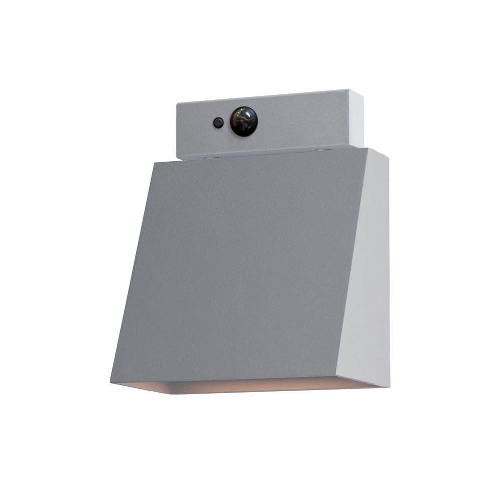 Pathfinder-Outdoor Wall Mount