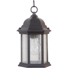 Craftmade Z291-TB-CS - Hex Style Cast 1 Light Outdoor Pendant in Textured Black (Clear Seeded Glass)