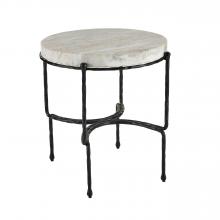 Arteriors Home FEI24 - Cedrick End Table