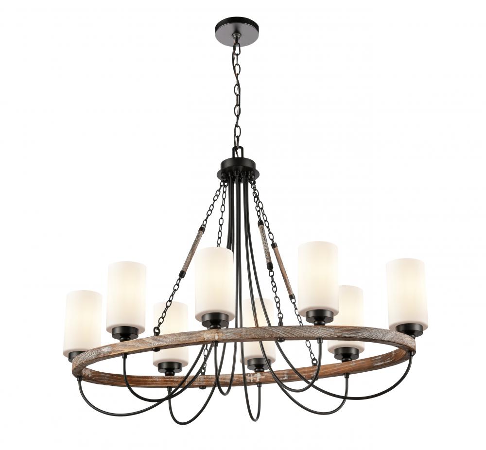 Paladin - 8 Light - 39 inch - Matte Black - Chain Hung - Chandelier