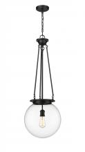 Innovations Lighting 221-1P-BK-G202-14 - Beacon - 1 Light - 14 inch - Matte Black - Chain Hung - Pendant