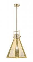 Innovations Lighting 411-1SL-CB-G411-14ME - Newton Cone - 1 Light - 14 inch - Champagne Bronze - Stem hung - Pendant