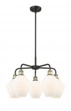 Innovations Lighting 516-5CR-BAB-G651-8 - Cindyrella - 5 Light - 26 inch - Black Antique Brass - Chandelier