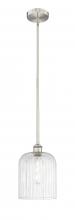 Innovations Lighting 616-1S-SN-G559-8SDY - Bridal Veil - 1 Light - 5 inch - Brushed Satin Nickel - Cord hung - Mini Pendant