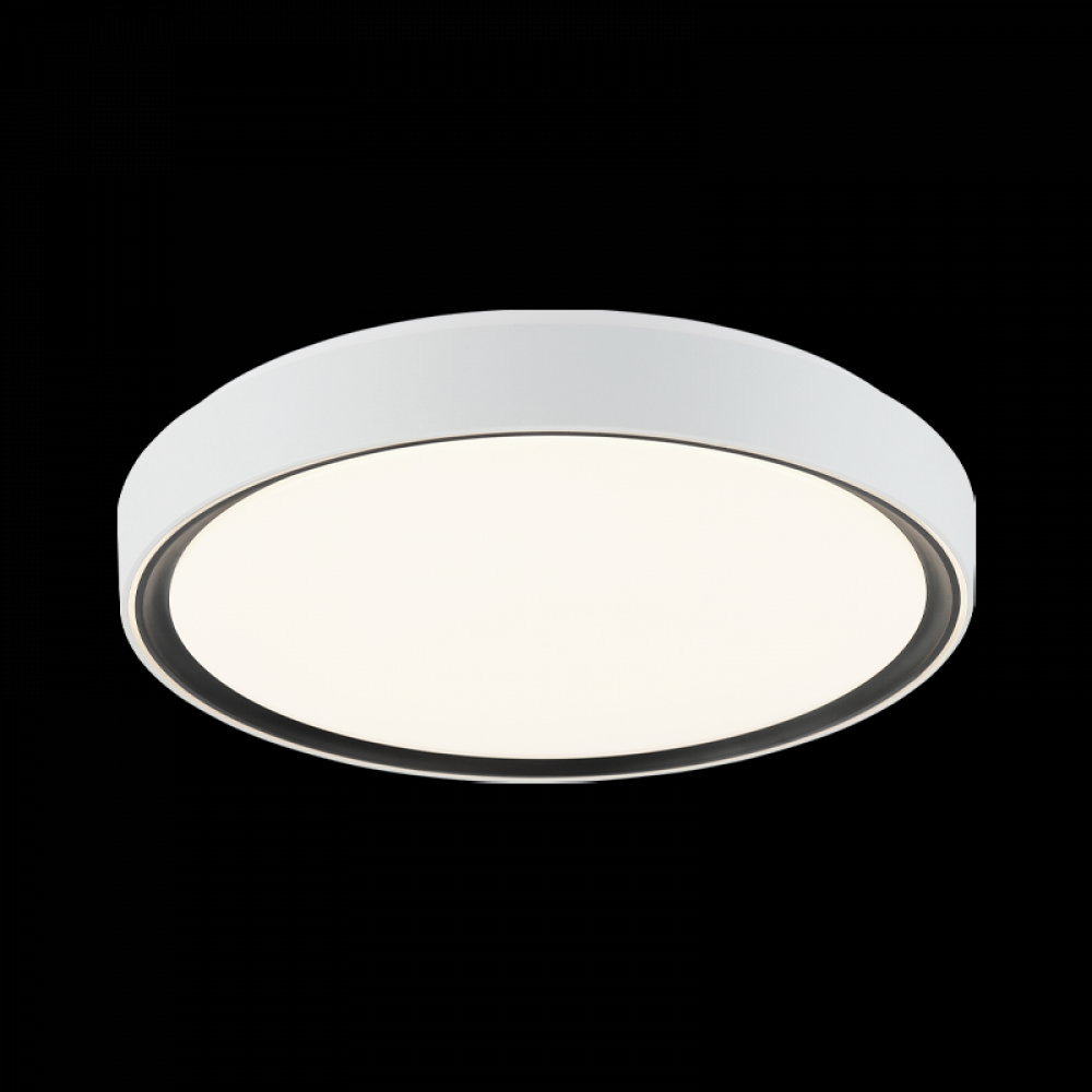 Alamus Ceiling Mount