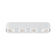 Eurofase 33619-019 - Nymark, 4LT LED Surface Mnt, Wht