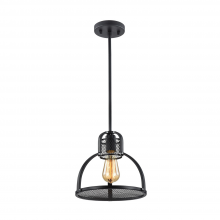 ZEEV Lighting P30042-1-DBZ - 1-Light 11" Industrial Pendant