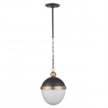 Regina Andrew 16-1118BBNB - Regina Andrew Otis Pendant Medium (Blackened and