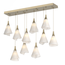 Hubbardton Forge 131202-SKT-STND-84-SH1987 - Mobius 10-Light Pendant