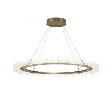 Hubbardton Forge 139772-LED-STND-86 - Anemone Circular LED Pendant