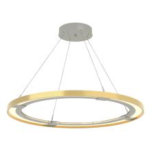 Hubbardton Forge 139776-LED-STND-85-86 - Ringo LED Pendant