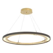 Hubbardton Forge 139776-LED-STND-86-07 - Ringo LED Pendant