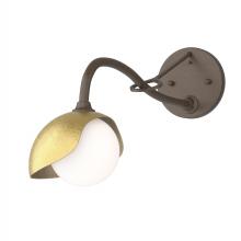 Hubbardton Forge 201376-SKT-05-86-GG0711 - Brooklyn 1-Light Single Shade Long-Arm Sconce