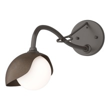 Hubbardton Forge 201376-SKT-14-05-GG0711 - Brooklyn 1-Light Single Shade Long-Arm Sconce