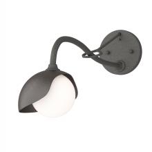 Hubbardton Forge 201376-SKT-20-14-GG0711 - Brooklyn 1-Light Single Shade Long-Arm Sconce