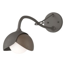 Hubbardton Forge 201377-SKT-07-05-GG0711 - Brooklyn 1-Light Double Shade Long-Arm Sconce