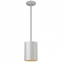 Access 29006-SAT-C - Pendant