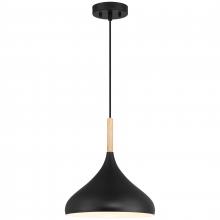 Access 52086-BL/WGN - 1 Light Pendant