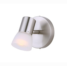 Canarm ICW517A01BN - Hudson, ICW517A01BN, 1 Lt Ceiling/Wall, Frosted Glass, 60W A15 or R16, 5 IN W x 5 IN H