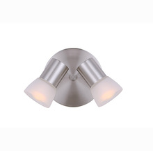 Canarm ICW517A02BN - Hudson, ICW517A02BN, 2 Lt Ceiling/Wall, Frosted Glass, 60W A15 or R16, 6 .25 IN W x 6 .25 IN H