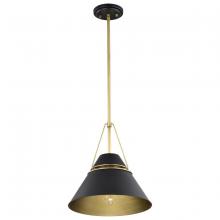 Nuvo 60/7766 - Adina 1 Light Medium Pendant; Matte Black and Natural Brass Finish