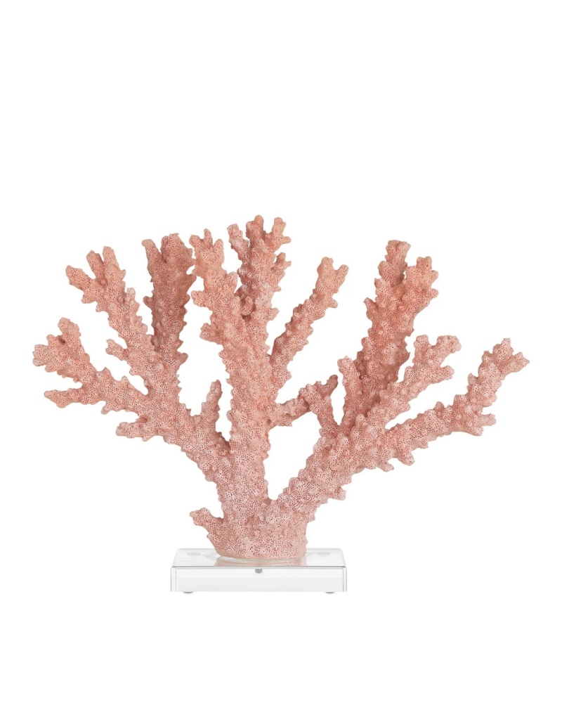 Fire Large Coral