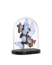 Currey 1200-0976 - Rue de Bac Lilac Medium Butterflies