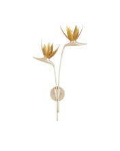Currey 5000-0238 - Paradiso Silver & Gold Wall Sconce, Right